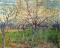 アプリコットの木が咲く果樹園 フィンセント・ファン・ゴッホの風景